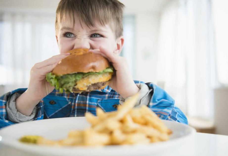 Study suggests toddlers' ultraprocessed diets at age two linked to lower IQ