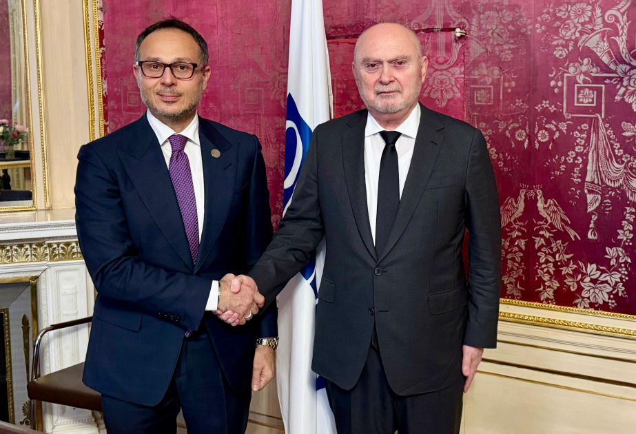 TURKPA, OSCE discuss prospects for cooperation