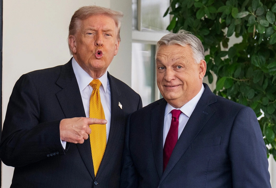 Орбан и Трамп: совместный шаг к миру и стабильности в Газе