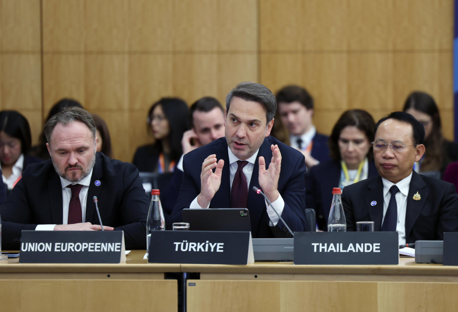 Türkiyəli nazir enerji sahəsində milli prioritetləri açıqlayıb