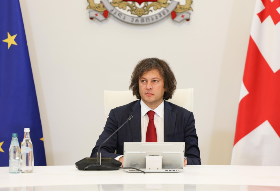 Georgian PM: NGO is foreign interference tool, what Georgia was criticized for, Europe is now debating