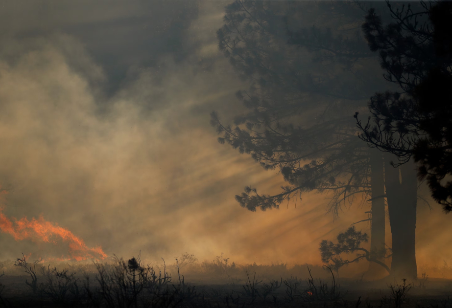 Study finds global increase in hot, dry days ideal for wildfires