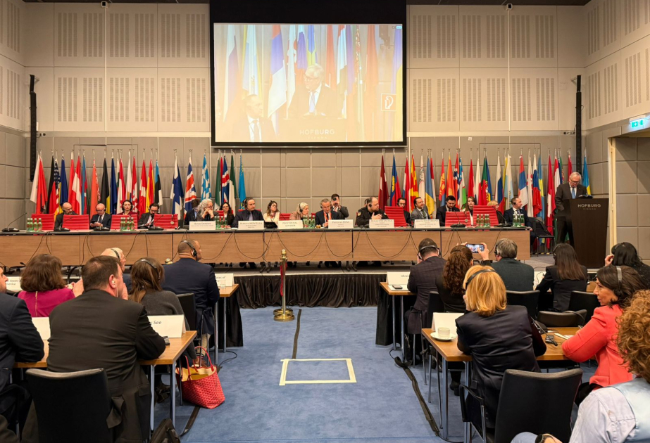 TURKPA delegation attends OSCE PA Winter Session in Vienna