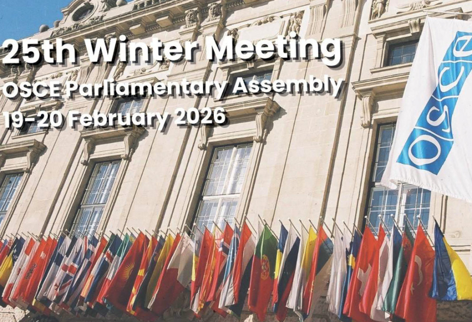 Head of Azerbaijan’s Milli Majlis delegation to OSCE highlights hybrid attacks against Azerbaijan