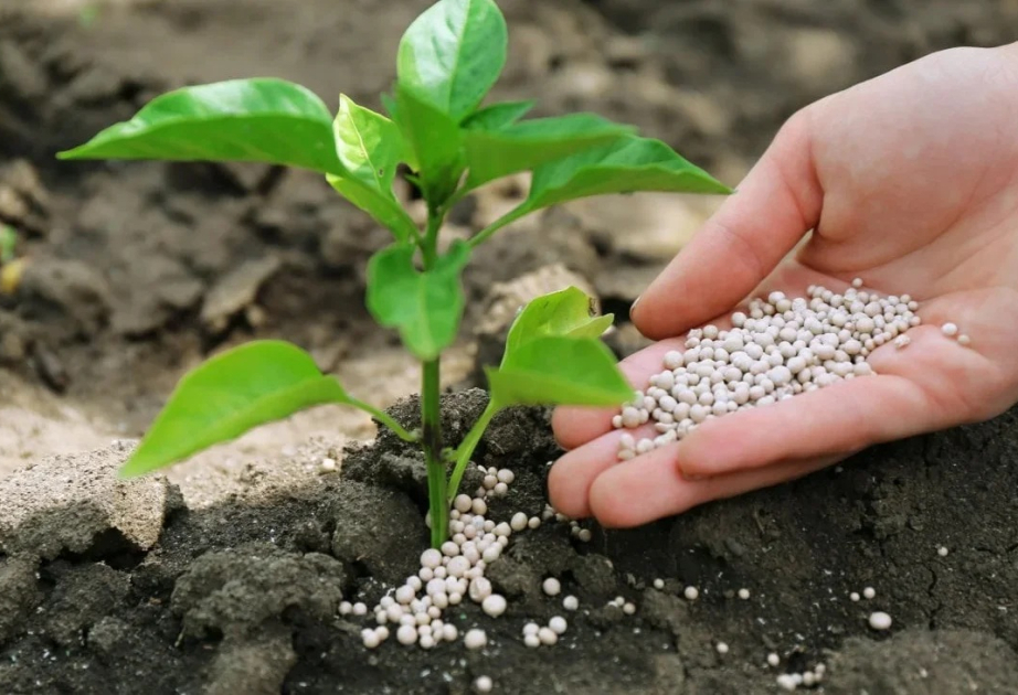 Kyrgyzstan bans export of mineral fertilizers