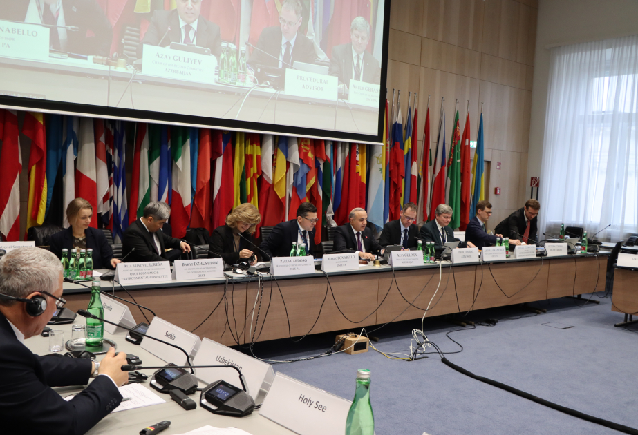 Azerbaijan calls for repeal of Section 907 at OSCE PA meeting