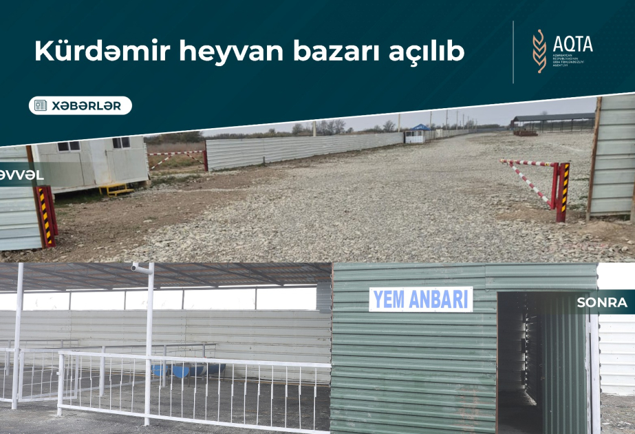 Kürdəmirdəki heyvan bazarı açılıb