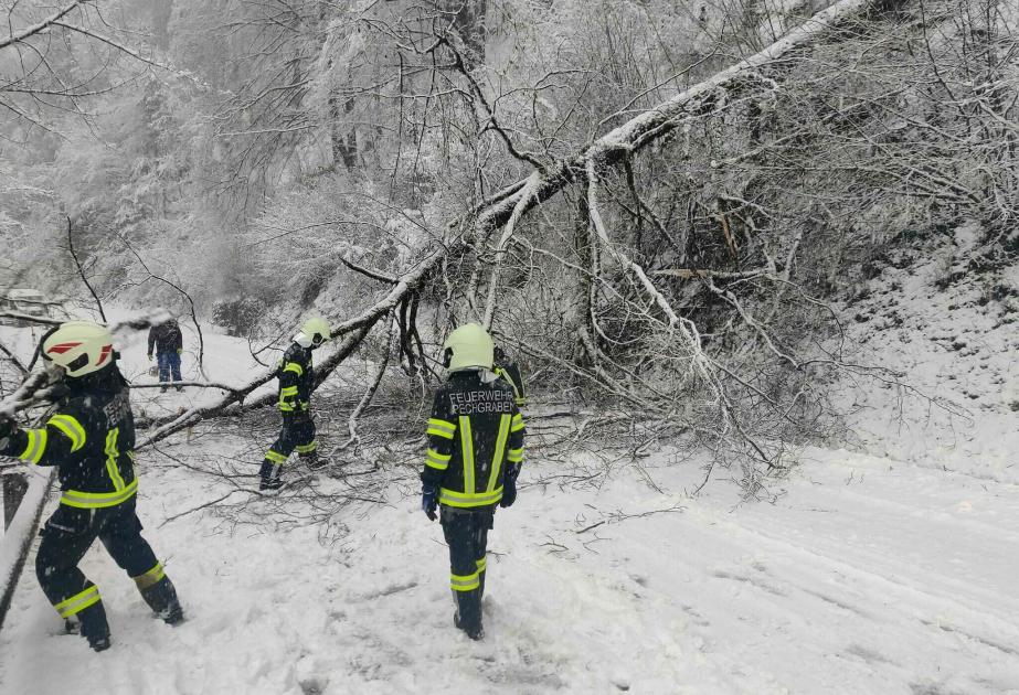 Heftige Schneefälle in Österreich: 30.000 Haushalte ohne Strom – mehrere Tote durch Lawinen