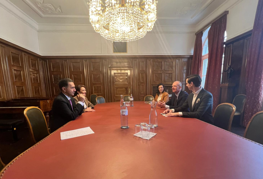 Azerbaijan, Austria discuss cooperation opportunities in the field of classical music