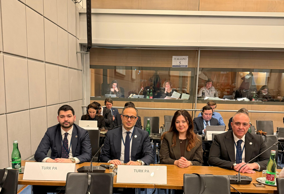 La delegación de TURKPA participa en la sesión de invierno de la AP de la OSCE en Viena