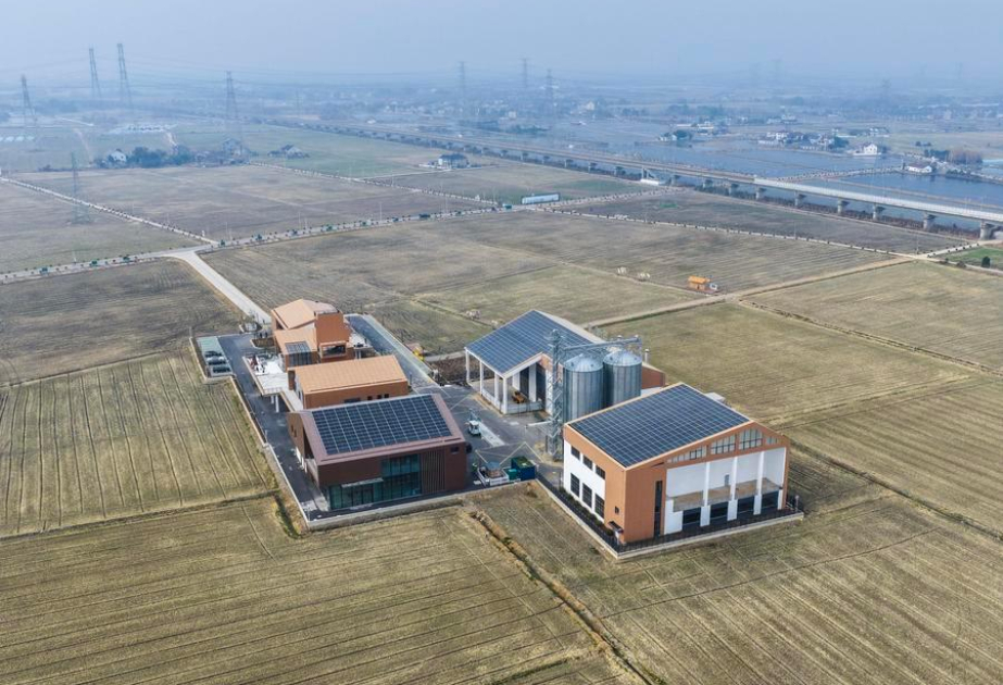 China cultivates more high-standard farmland in 2025 amid modernization drive
