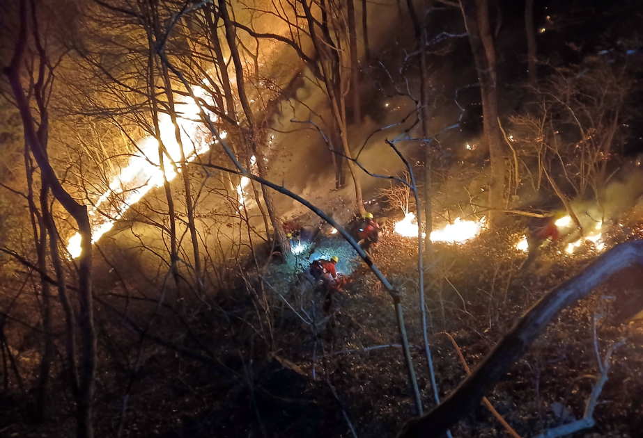 Corée du Sud: un feu de forêt dans le sud du pays a détruit 190 hectares depuis samedi