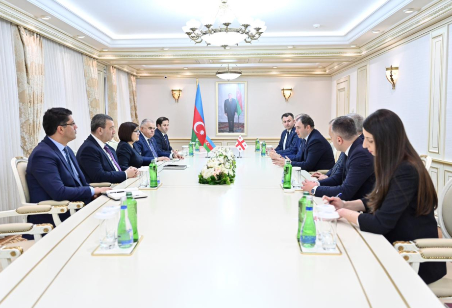 L’Azerbaïdjan et la Géorgie discutent de leurs relations parlementaires