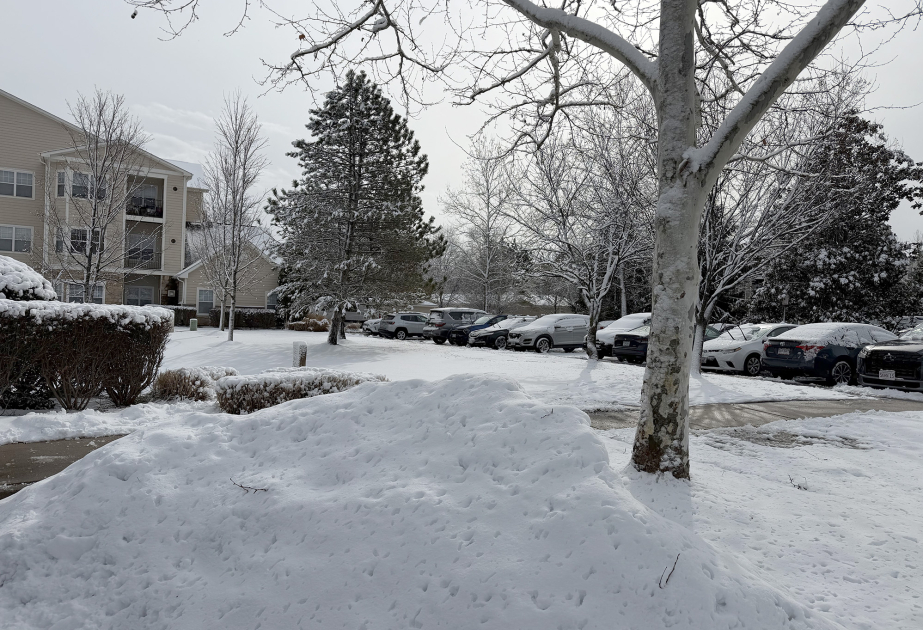 Snowfall intensifies in Northeast, with many stuck at home under blizzard warnings and travel bans