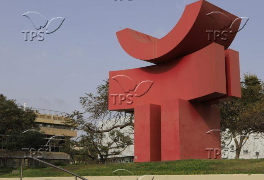 Raising braver bats: How early experiences could ımprove wildlife conservation