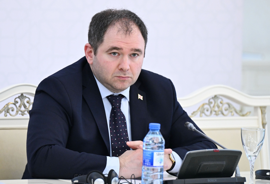 Nikoloz Şamxaradze: Gürcüstan regionda davamlı sülhün təmin olunması üçün töhfə verməyə hazırdır VİDEO