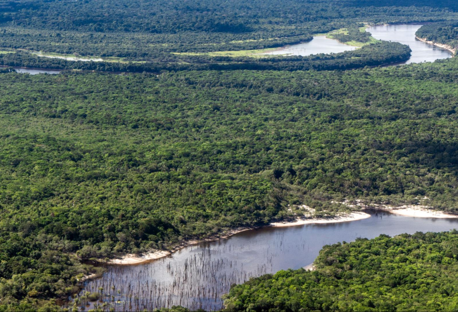 Brasilianische Regierung stoppt Pläne für Ausbau von Wasserwegen im Amazonasgebiet