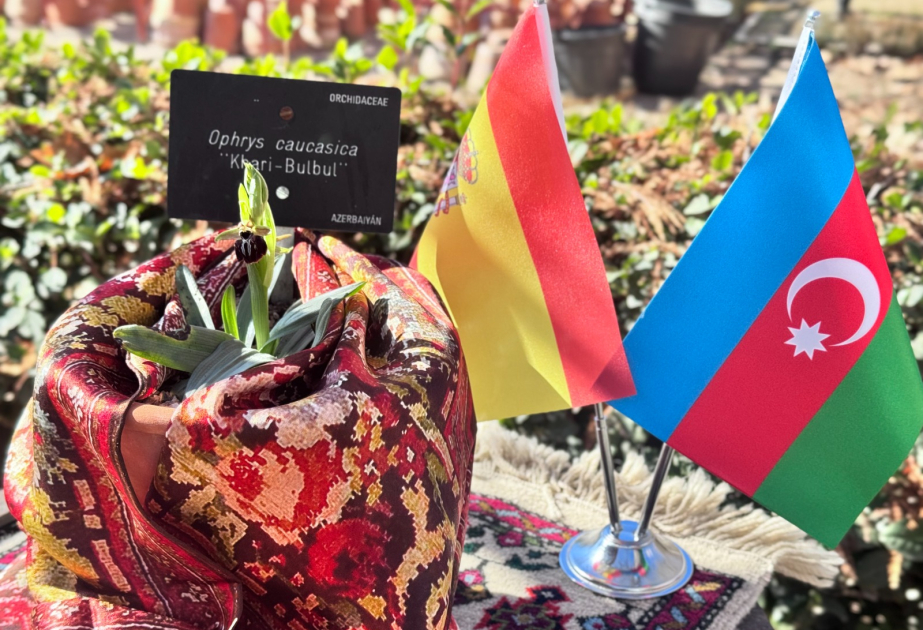 В преддверии 34-й годовщины Ходжалинского геноцида в Мадриде вновь зацвел харыбюльбюль