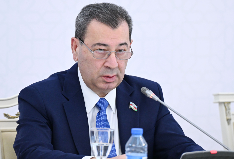 Samad Seyidov: “Azerbaiyán, Türkiye y Georgia son pilares de estabilidad en el Cáucaso Sur y más allá”