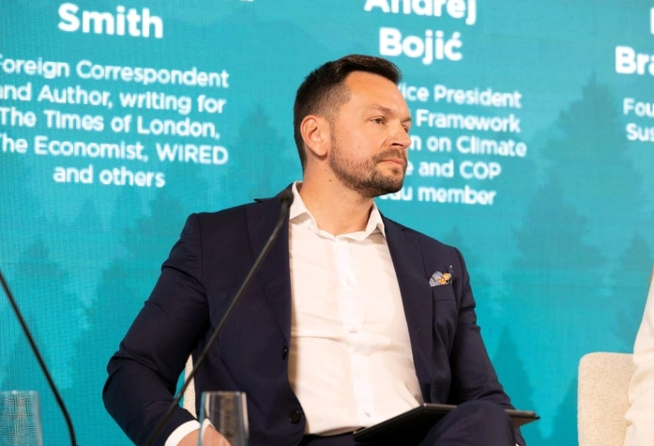 Andrej Bojić: Azerbaijani-Serbian energy cooperation strengthens Europe's resilience
