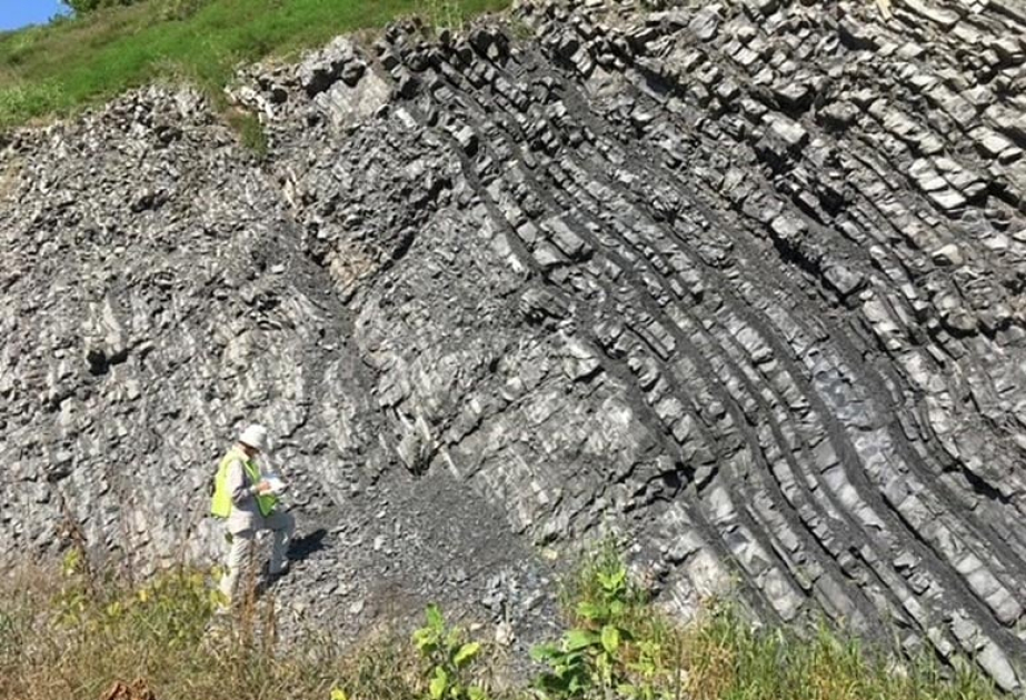 Land plants expanded on land 455 million years ago, reshaping Earth's environment: study