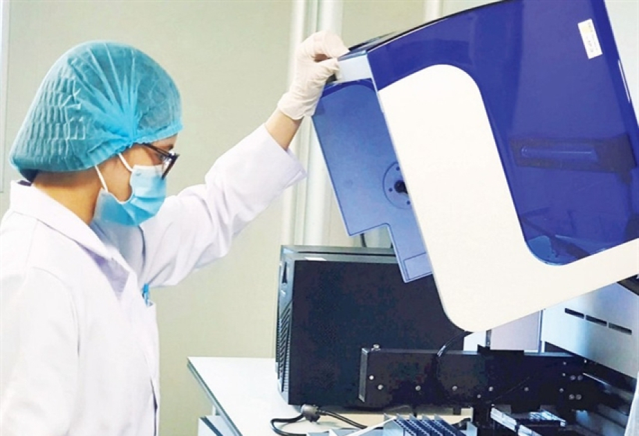 Vietnam makes scientific strides in decoding ancient human genomes