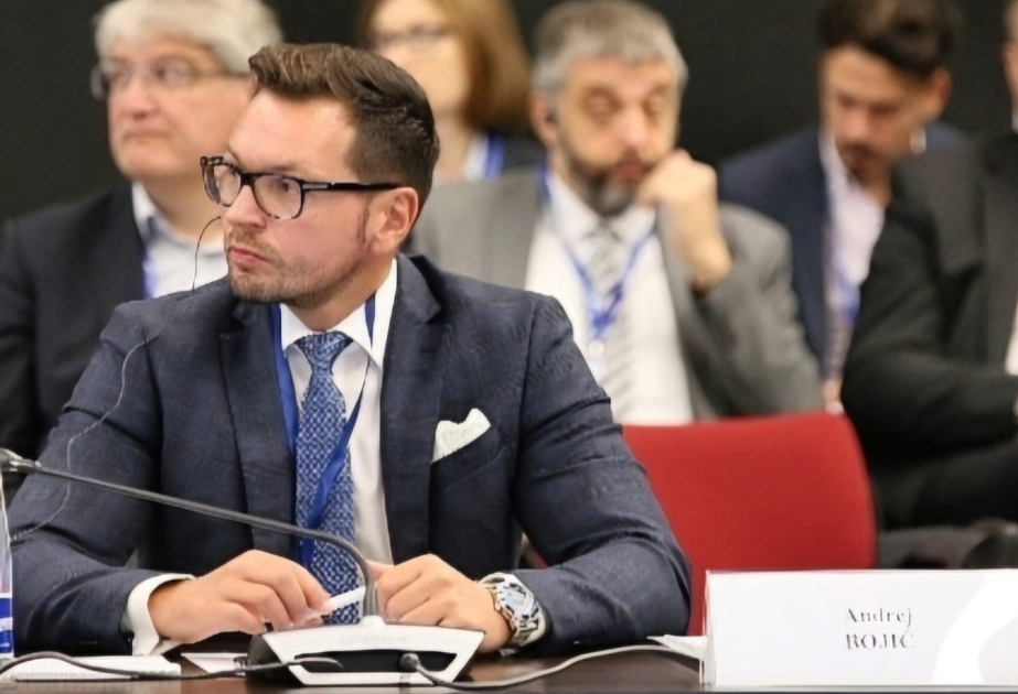 Expert: Azerbaijan-Serbia energy cooperation demonstrates Win-Win model