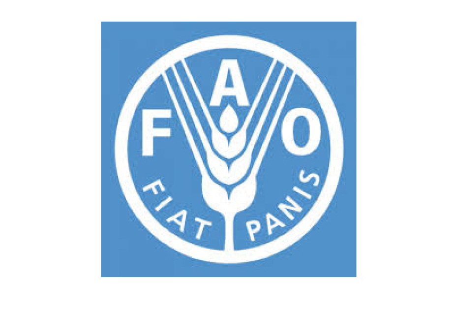 FAO recognizes Azerbaijani villages under FAO Villages Recognition Initiative