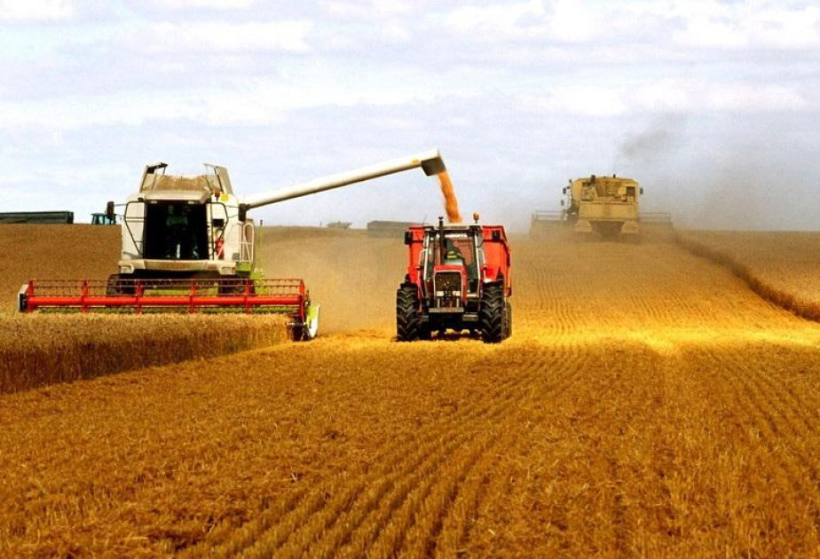Key figures on food chain – agriculture’s value added