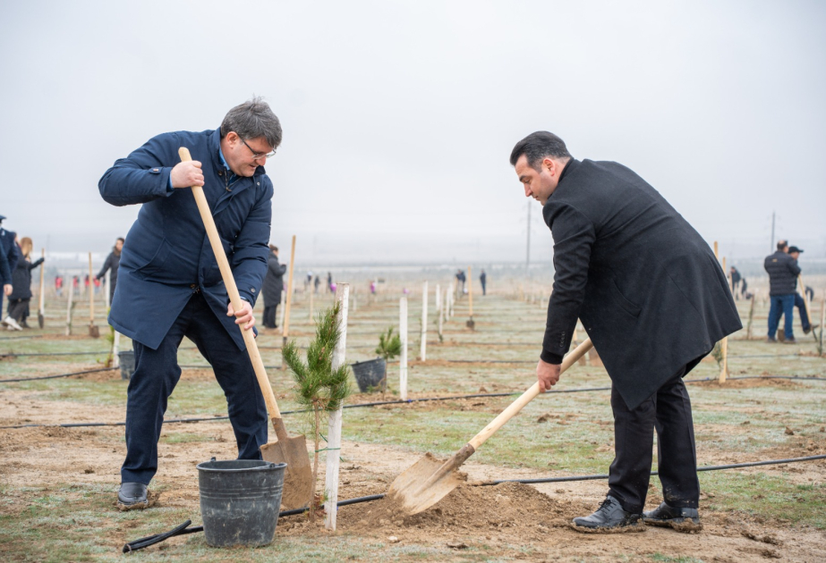 Xocalı soyqırımı qurbanlarının xatirəsinə həsr olunmuş ağacəkmə aksiyası keçirilib