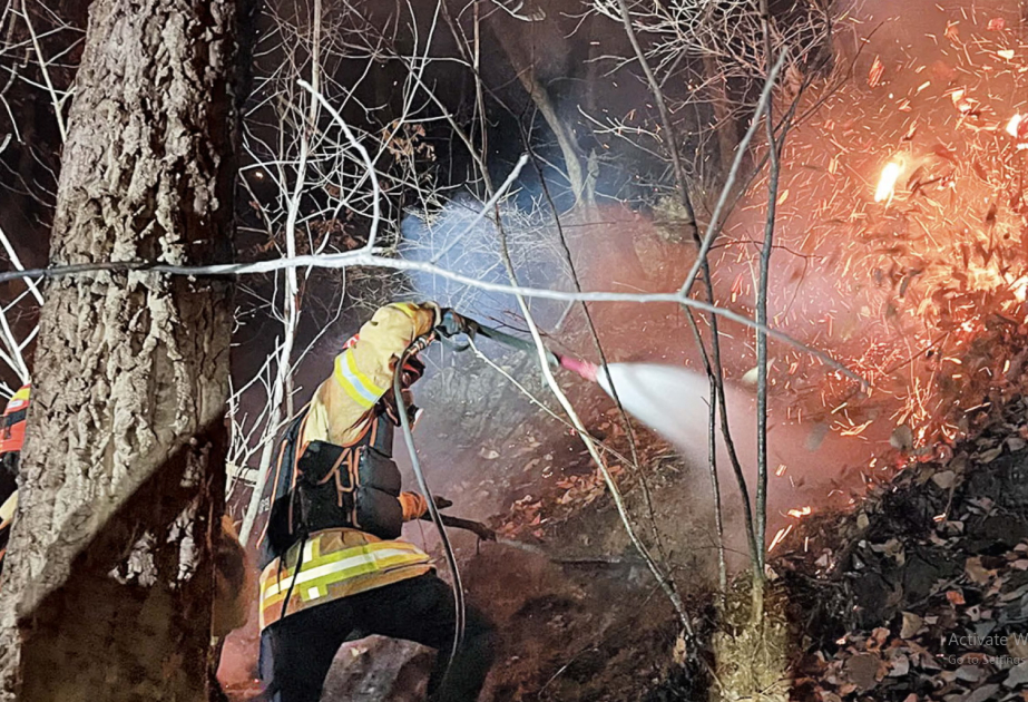 Cənubi Koreyada F-16 təyyarəsi qəzaya uğrayıb