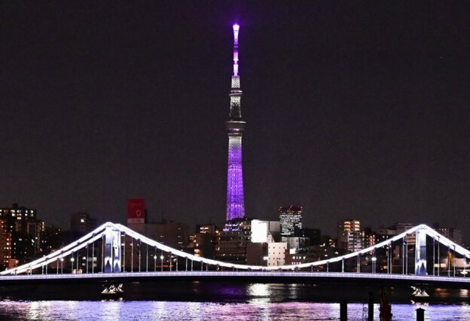 Tokyo Skytree tower's operations resume after elevator trouble