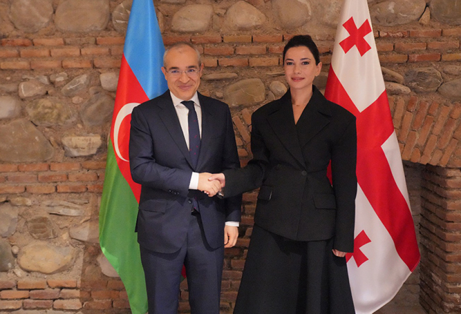 Azerbaijani, Georgian economy ministers explore bilateral relations