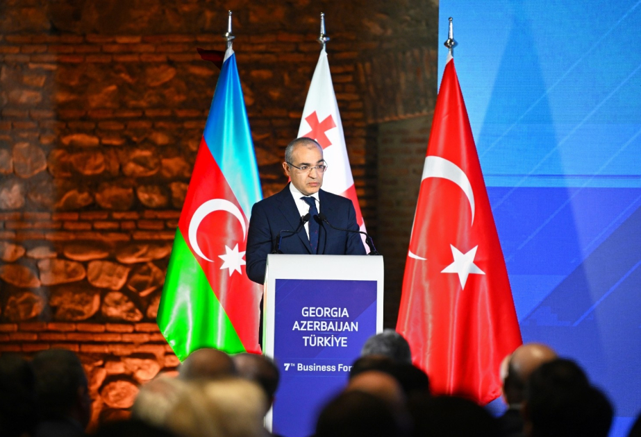 Gürcüstanda keçirilən beynəlxalq biznes-forumda Xocalı qətliamından danışılıb