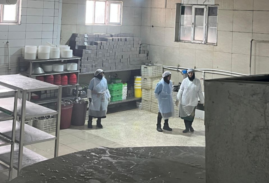Saatlıda süd və süd məhsullarının emalı müəssisəsində yoxlama aparılıb