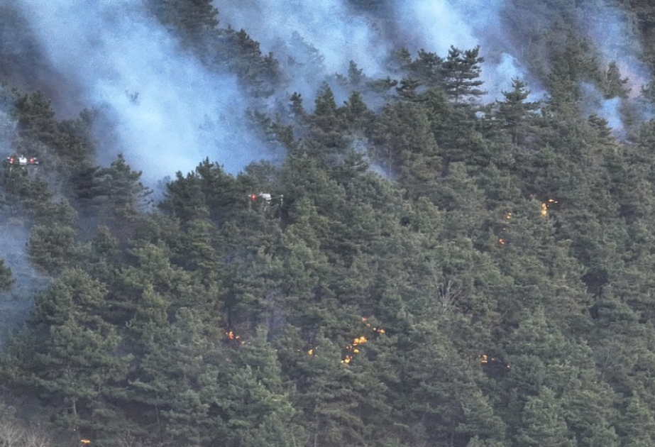 China strengthens forest, grassland fire prevention, control