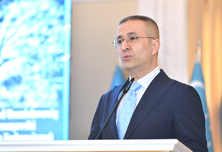 Yunus Əmrə İnstitutunun prezidenti: Türkologiya cameəsi beynəlxalq müstəvidə daha güclü mövqe formalaşdıra bilər