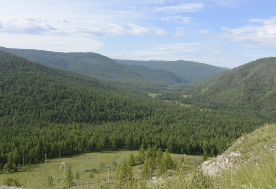 Mongolia’s forest cover confirmed at 8.71 percent