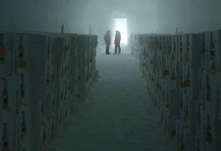 Frozen in time: Antarctic ice cave to be used to save melting glacier samples
