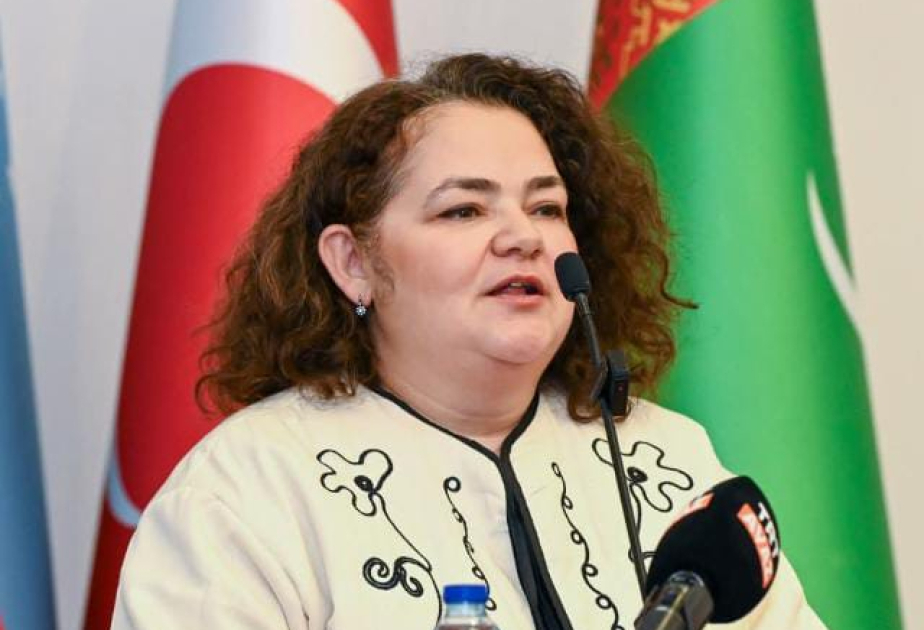 Сельджан Саглык: Понимание тюркского мира начинается с его истории, языка и культурной памяти