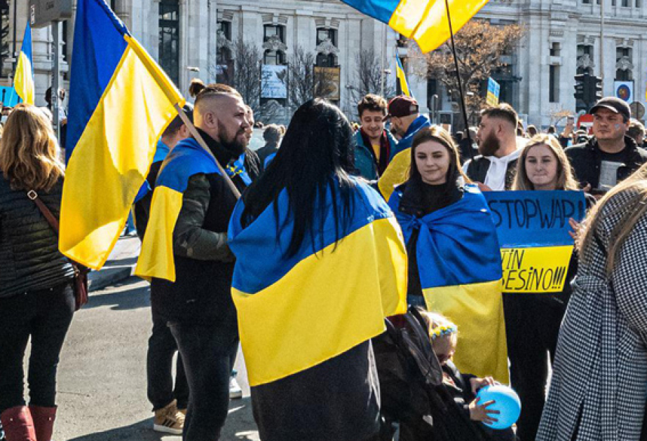 Большинство украинцев против вывода ВСУ с Донбасса