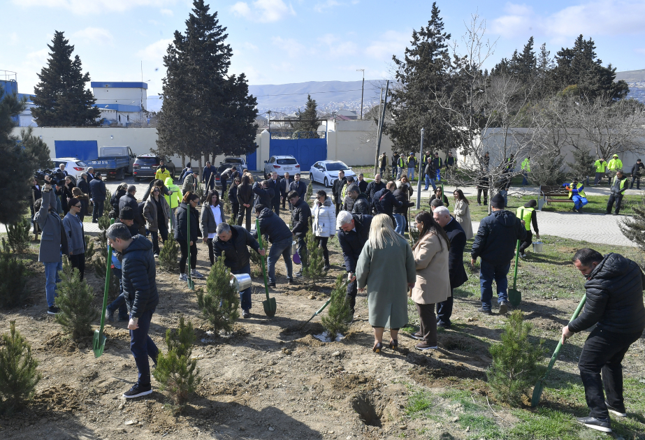 AZERTAC marks 106th anniversary with 106 tree-planting contributions VIDEO