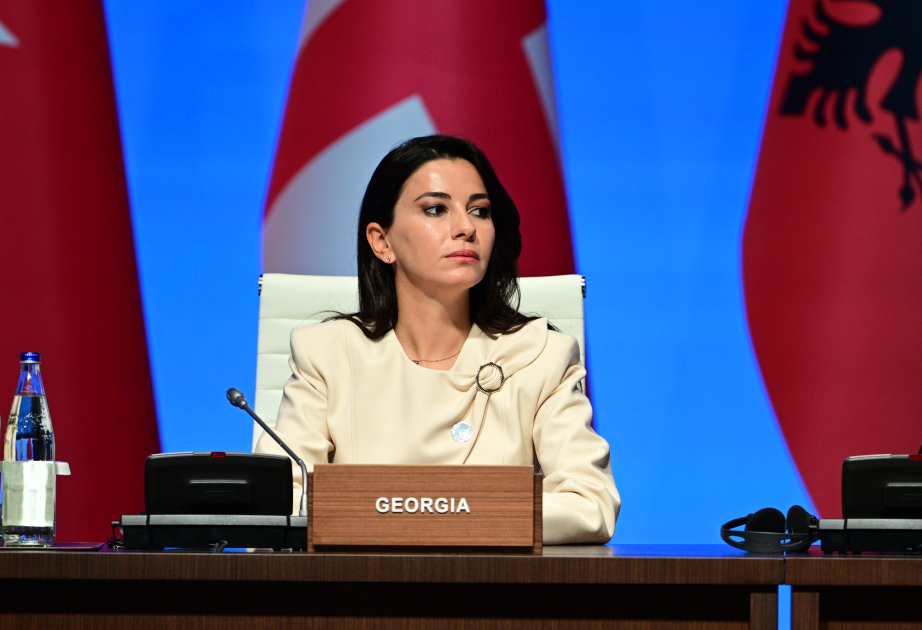 Ministra georgiana: El Corredor Sur de Gas demuestra que podemos lograr muchos éxitos conjuntamente