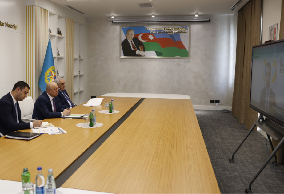 Fövqəladə hallar naziri BMMT-nin İcraiyyə Şurasının növbədənkənar sessiyasında iştirak edib