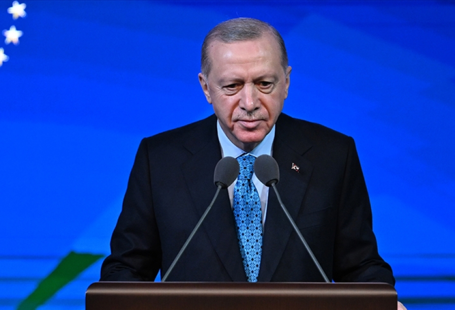 Türkiye working to solve problems through ‘peace-oriented diplomacy’: President Erdogan
