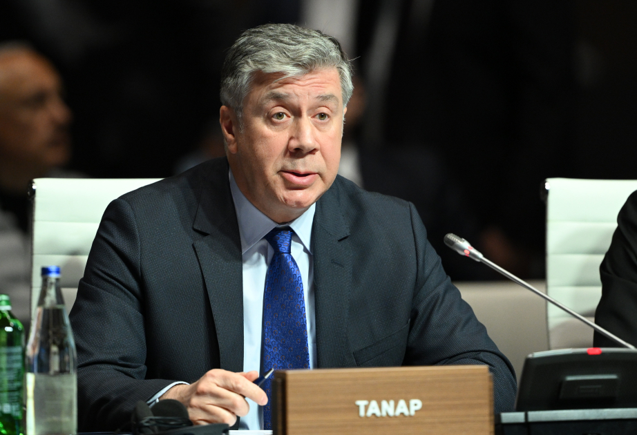 Saltuk Düzyol: TANAP-ın nəqletmə gücünün artırılması potensialı var
