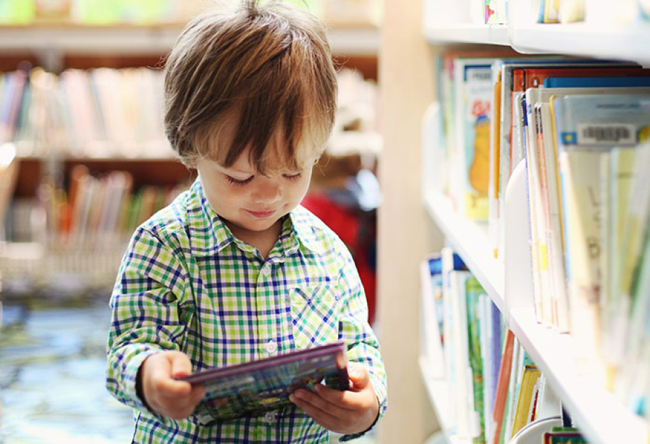 Drafting of TURKPA Model Law on protection of children from harmful information concludes