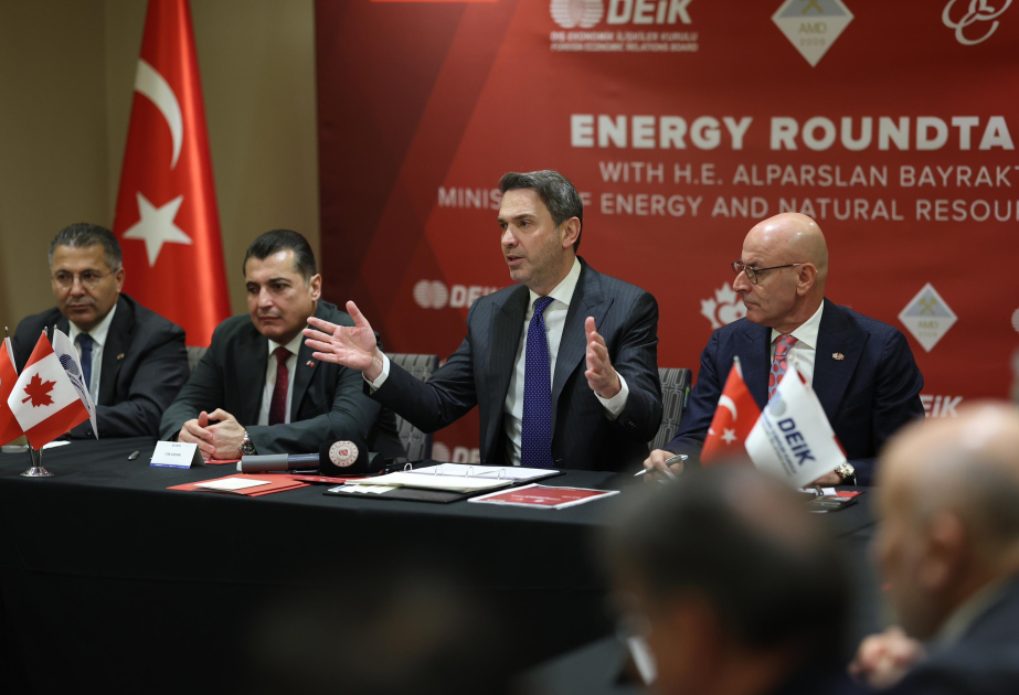 Türkiyə enerji səmərəliliyinə 20 milyard dollara qədər investisiya qoyacaq