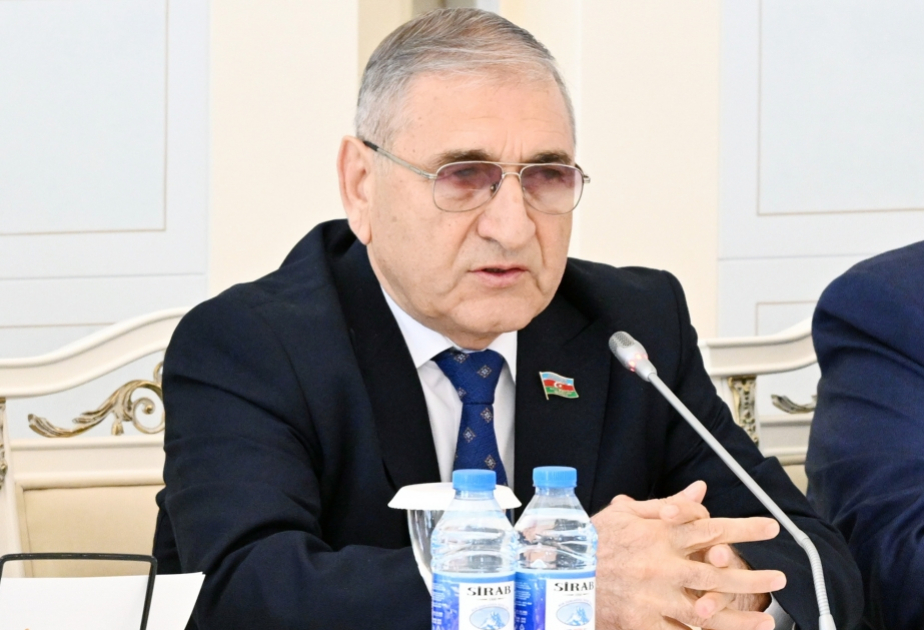 Azərbaycanın enerji siyasəti beynəlxalq aləmdə nüfuzunun yüksəlməsinə töhfə verir  ŞƏRH