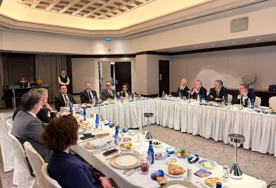 Leading Turkish healthcare and pharmaceutical companies informed about business environment in Azerbaijan